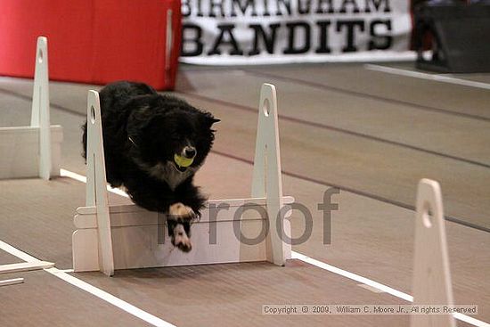 Birmingham Bandits Summer Shootout<br />May 30th, 2009<br />Bessemer Civic Center<br />Bessemer Al