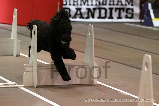 Birmingham Bandits Summer Shootout<br />May 30th, 2009<br />Bessemer Civic Center<br />Bessemer Al