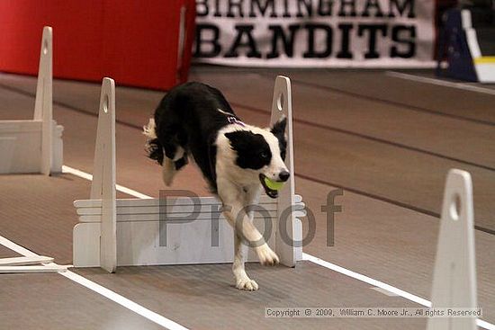 Birmingham Bandits Summer Shootout<br />May 30th, 2009<br />Bessemer Civic Center<br />Bessemer Al