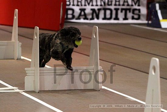 Birmingham Bandits Summer Shootout<br />May 30th, 2009<br />Bessemer Civic Center<br />Bessemer Al