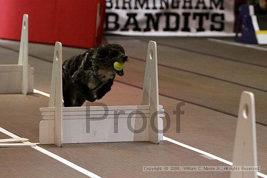 Birmingham Bandits Summer Shootout<br />May 30th, 2009<br />Bessemer Civic Center<br />Bessemer Al