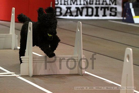 Birmingham Bandits Summer Shootout<br />May 30th, 2009<br />Bessemer Civic Center<br />Bessemer Al