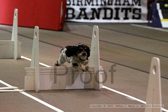 Birmingham Bandits Summer Shootout<br />May 30th, 2009<br />Bessemer Civic Center<br />Bessemer Al