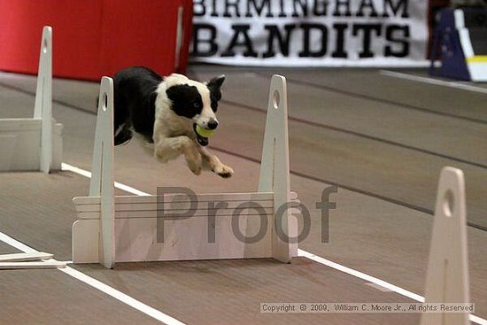 Birmingham Bandits Summer Shootout<br />May 30th, 2009<br />Bessemer Civic Center<br />Bessemer Al