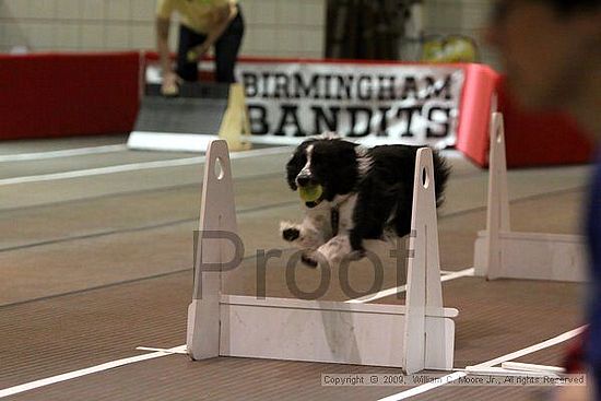 Birmingham Bandits Summer Shootout<br />May 30th, 2009<br />Bessemer Civic Center<br />Bessemer Al