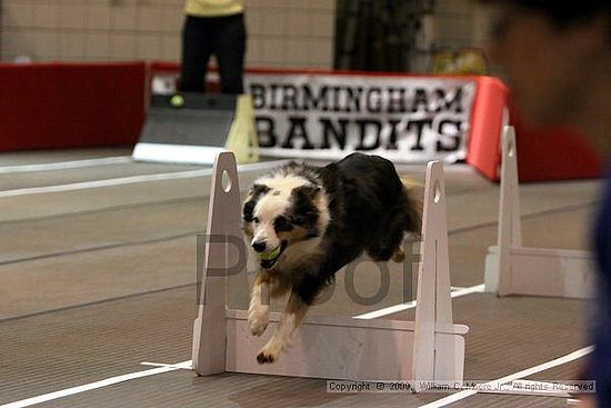 Birmingham Bandits Summer Shootout<br />May 30th, 2009<br />Bessemer Civic Center<br />Bessemer Al