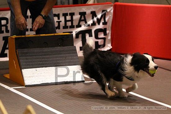 Birmingham Bandits Summer Shootout<br />May 30th, 2009<br />Bessemer Civic Center<br />Bessemer Al