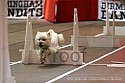 img_9282_thm.jpg