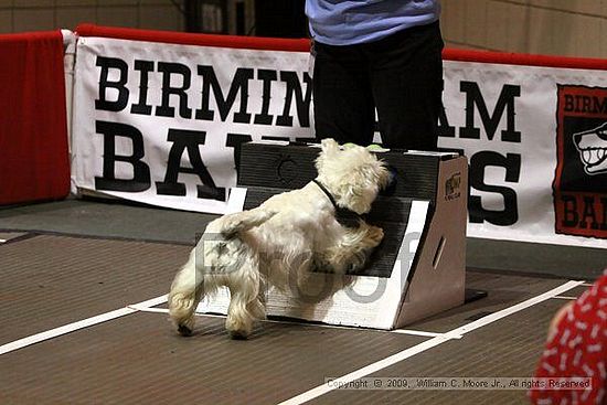 Birmingham Bandits Summer Shootout<br />May 30th, 2009<br />Bessemer Civic Center<br />Bessemer Al