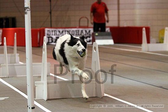 Birmingham Bandits Summer Shootout<br />May 30th, 2009<br />Bessemer Civic Center<br />Bessemer Al