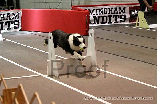 Birmingham Bandits Summer Shootout<br />May 30th, 2009<br />Bessemer Civic Center<br />Bessemer Al