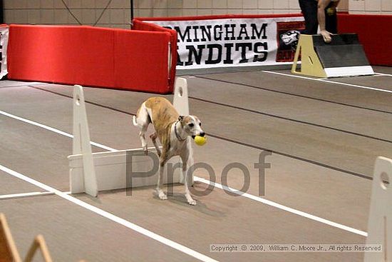 Birmingham Bandits Summer Shootout<br />May 30th, 2009<br />Bessemer Civic Center<br />Bessemer Al