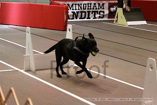 Birmingham Bandits Summer Shootout<br />May 30th, 2009<br />Bessemer Civic Center<br />Bessemer Al