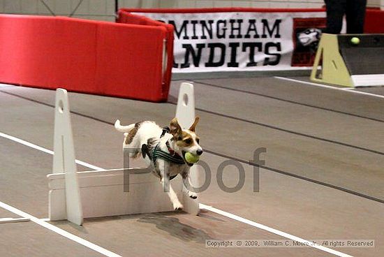 Birmingham Bandits Summer Shootout<br />May 30th, 2009<br />Bessemer Civic Center<br />Bessemer Al