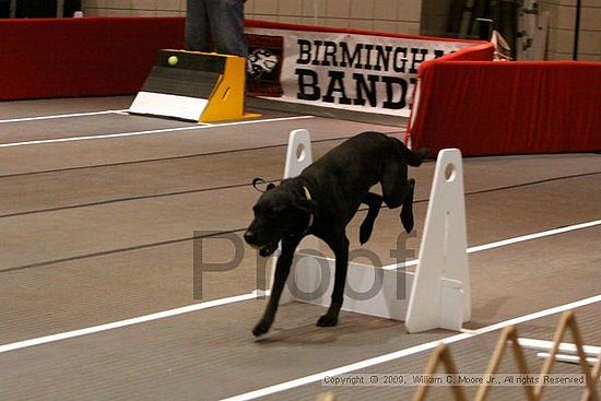 Birmingham Bandits Summer Shootout<br />May 30th, 2009<br />Bessemer Civic Center<br />Bessemer Al