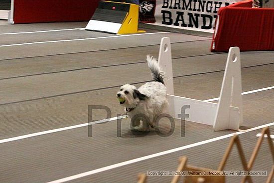 Birmingham Bandits Summer Shootout<br />May 30th, 2009<br />Bessemer Civic Center<br />Bessemer Al