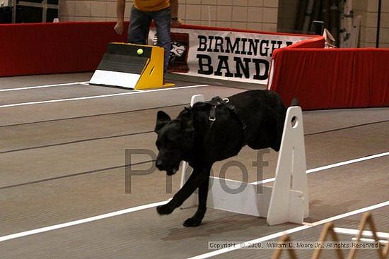 Birmingham Bandits Summer Shootout<br />May 30th, 2009<br />Bessemer Civic Center<br />Bessemer Al