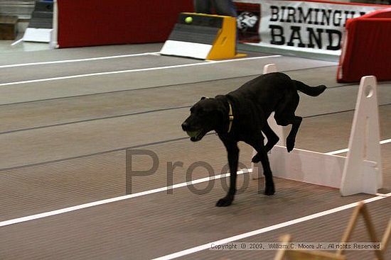 Birmingham Bandits Summer Shootout<br />May 30th, 2009<br />Bessemer Civic Center<br />Bessemer Al