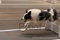 img_9410_thm.jpg