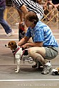 img_9419_thm.jpg