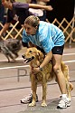 img_9422_thm.jpg