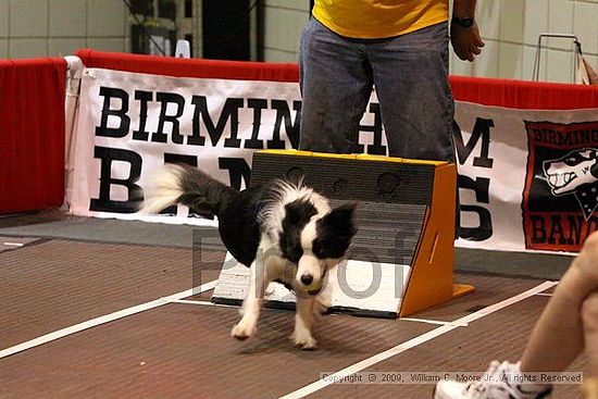 Birmingham Bandits Summer Shootout<br />May 30th, 2009<br />Bessemer Civic Center<br />Bessemer Al