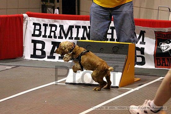 Birmingham Bandits Summer Shootout<br />May 30th, 2009<br />Bessemer Civic Center<br />Bessemer Al