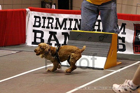 Birmingham Bandits Summer Shootout<br />May 30th, 2009<br />Bessemer Civic Center<br />Bessemer Al