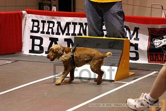 Birmingham Bandits Summer Shootout<br />May 30th, 2009<br />Bessemer Civic Center<br />Bessemer Al