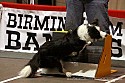 img_9475_thm.jpg