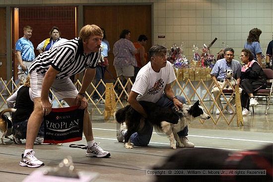 Birmingham Bandits Summer Shootout<br />May 30th, 2009<br />Bessemer Civic Center<br />Bessemer Al