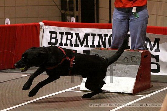 Birmingham Bandits Summer Shootout<br />May 30th, 2009<br />Bessemer Civic Center<br />Bessemer Al