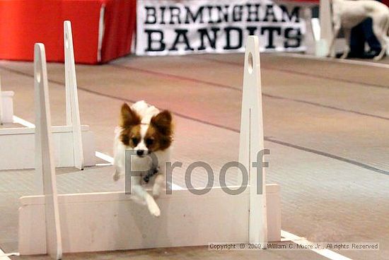 Birmingham Bandits Summer Shootout<br />May 30th, 2009<br />Bessemer Civic Center<br />Bessemer Al