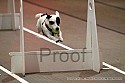 img_9545_thm.jpg
