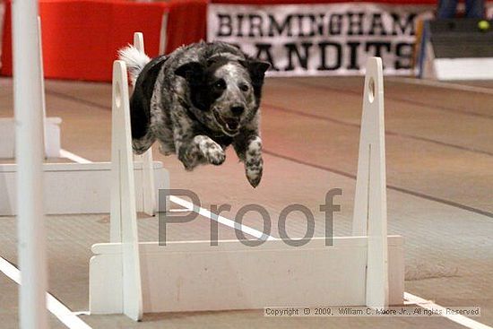 Birmingham Bandits Summer Shootout<br />May 30th, 2009<br />Bessemer Civic Center<br />Bessemer Al