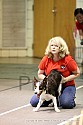 img_9564_thm.jpg