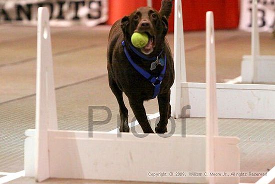 Birmingham Bandits Summer Shootout<br />May 30th, 2009<br />Bessemer Civic Center<br />Bessemer Al