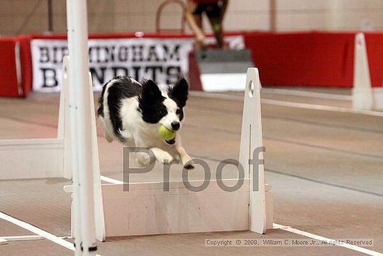 Birmingham Bandits Summer Shootout<br />May 30th, 2009<br />Bessemer Civic Center<br />Bessemer Al