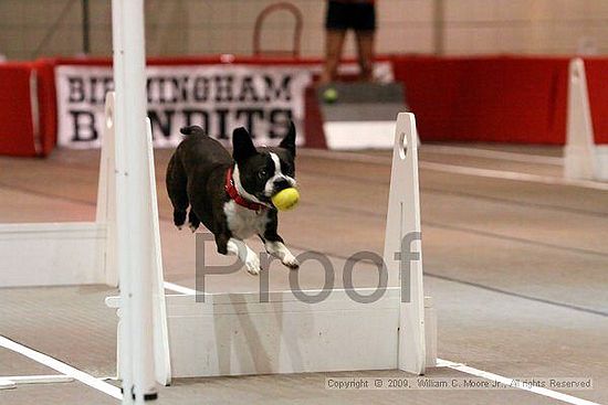 Birmingham Bandits Summer Shootout<br />May 30th, 2009<br />Bessemer Civic Center<br />Bessemer Al