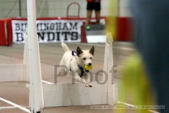 Birmingham Bandits Summer Shootout<br />May 30th, 2009<br />Bessemer Civic Center<br />Bessemer Al