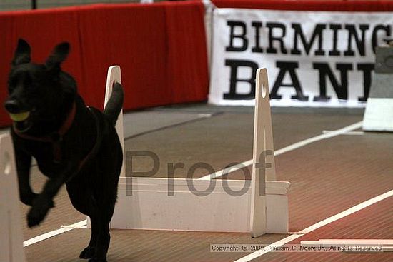 Birmingham Bandits Summer Shootout<br />May 31st, 2009<br />Bessemer Civic Center<br />Bessemer Al