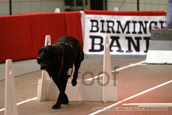 Birmingham Bandits Summer Shootout<br />May 31st, 2009<br />Bessemer Civic Center<br />Bessemer Al