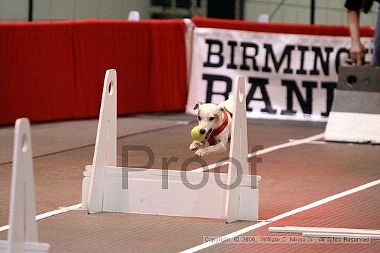 Birmingham Bandits Summer Shootout<br />May 31st, 2009<br />Bessemer Civic Center<br />Bessemer Al