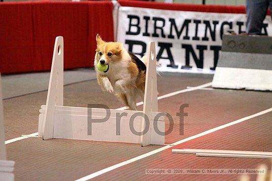 Birmingham Bandits Summer Shootout<br />May 31st, 2009<br />Bessemer Civic Center<br />Bessemer Al