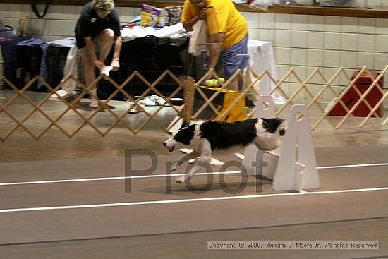 Birmingham Bandits Summer Shootout<br />May 31st, 2009<br />Bessemer Civic Center<br />Bessemer Al