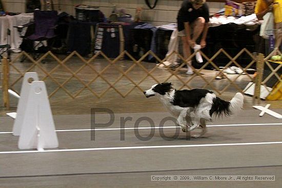 Birmingham Bandits Summer Shootout<br />May 31st, 2009<br />Bessemer Civic Center<br />Bessemer Al