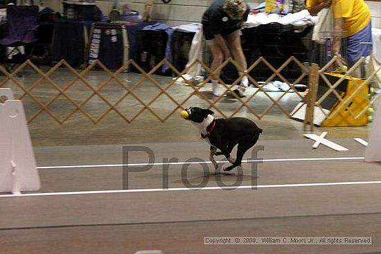 Birmingham Bandits Summer Shootout<br />May 31st, 2009<br />Bessemer Civic Center<br />Bessemer Al