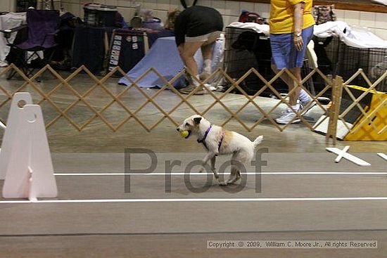 Birmingham Bandits Summer Shootout<br />May 31st, 2009<br />Bessemer Civic Center<br />Bessemer Al