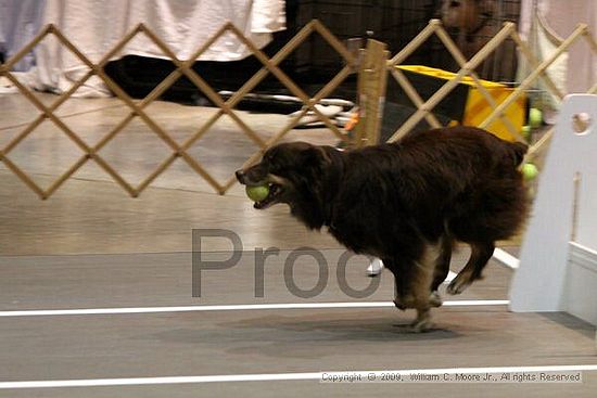 Birmingham Bandits Summer Shootout<br />May 31st, 2009<br />Bessemer Civic Center<br />Bessemer Al