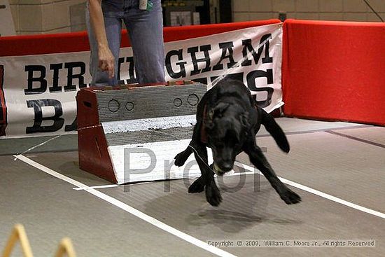 Birmingham Bandits Summer Shootout<br />May 31st, 2009<br />Bessemer Civic Center<br />Bessemer Al